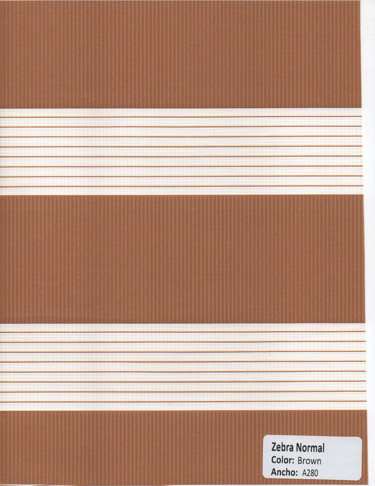 Zebra Normal Brown